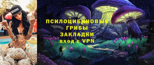 ECSTASY Алексеевка