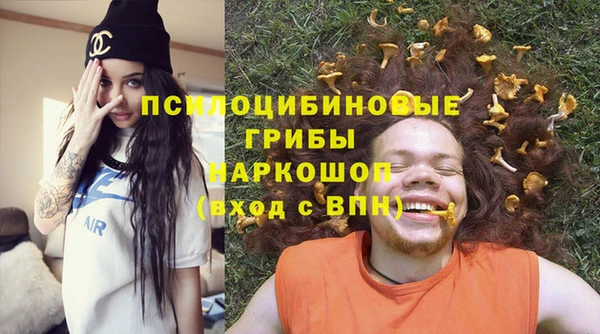 герыч Алексин